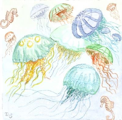 Schwimmende Quallen